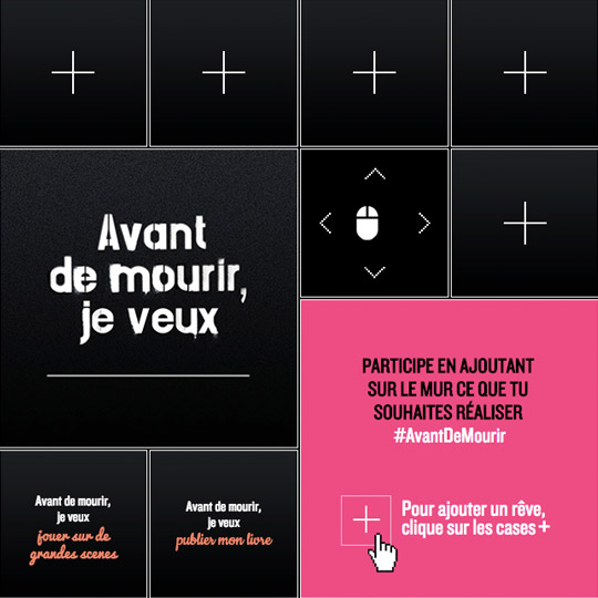 snippet from the wall of the web app Prévention Routière - Before I Die